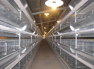 養(yǎng)殖網(wǎng)排焊機(jī) 養(yǎng)殖網(wǎng)排焊機(jī)